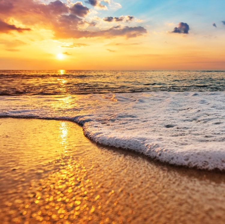 Daytona Beach Hotels and Experiences Deal: Up to 20% off