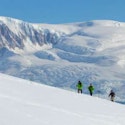 Atlas 11-Night Ushuaia Roundtrip Antarctic Cruise for From $31,798 for 2