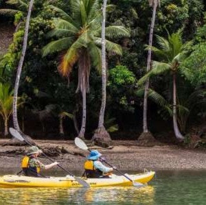 UnCruise 7-Night Costa Rica Adventure Cruise: From $15,400 for 2 UnCruise 7-Night Costa Rica Adventure Cruise: From $15,400 for 2