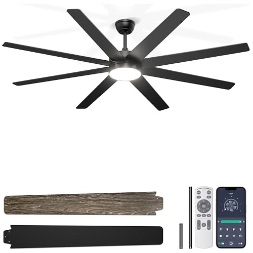 Phylluz 72" Ceiling Fan with Lights: $93 w/ Prime 