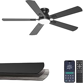 Phylluz Ceiling Fan with Light: From $38 w/ Prime Phylluz Ceiling Fan with Light: From $38 w/ Prime