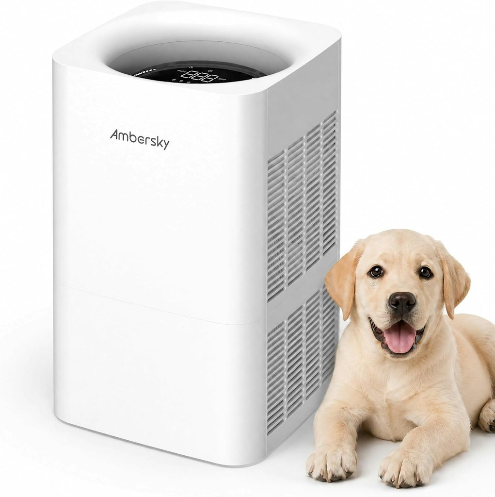 Ambersky True HEPA Filter: $80.99