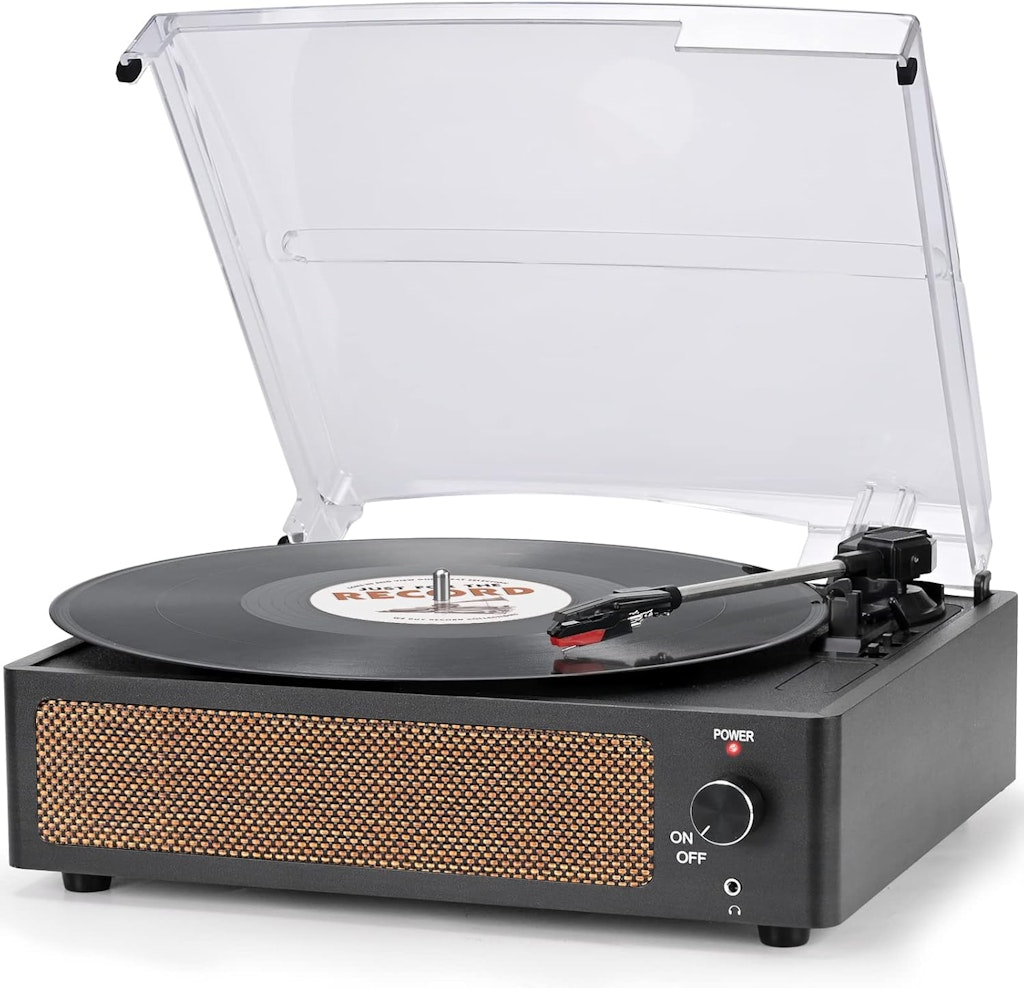 Vinyl Record Player: $30