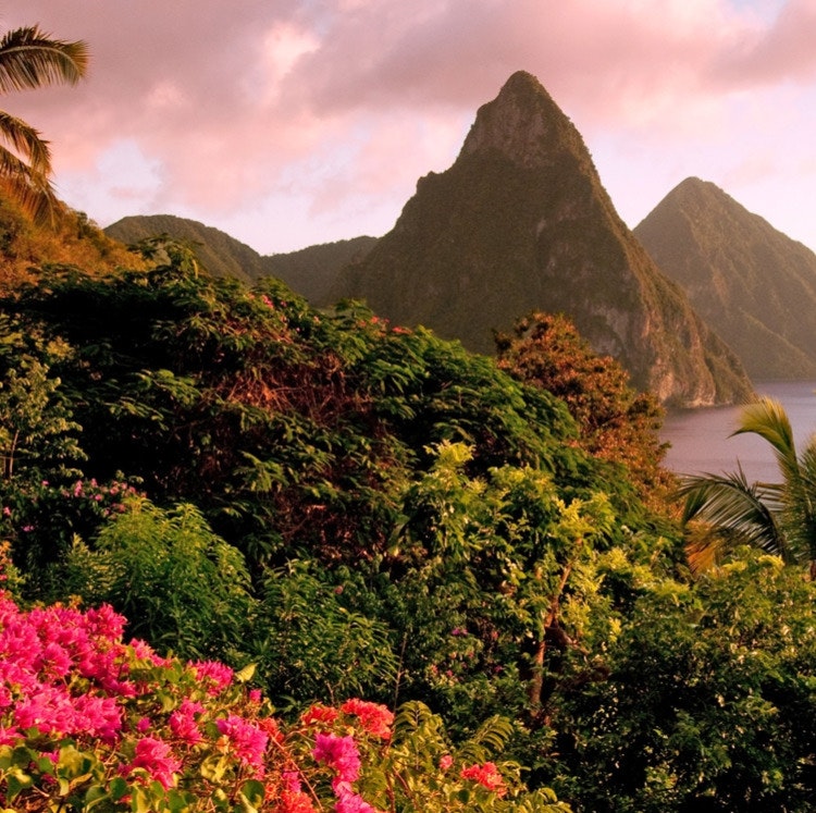 Windstar 7-Night Windward Islands Yacht Cruise: From $6,432 for 2