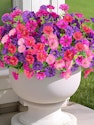 Artificial Flower Bundle 8-Pack for $5 + free shipping w/ $25