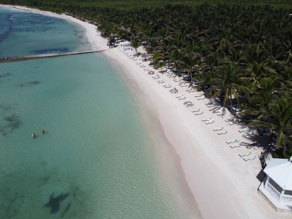 4-Night El Dorado Seaside Palms Adults-Only All-Inclusive Flight and Resort Vacation: From $819 per person