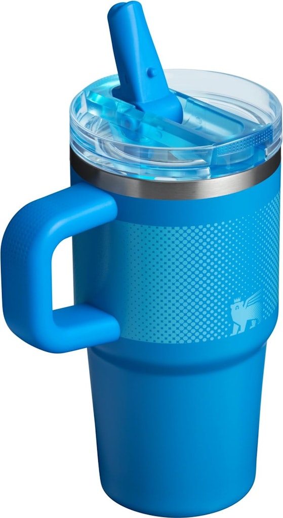 Stanley Quencher ProTour Flip Straw 20-oz. Insulated Tumbler: $15