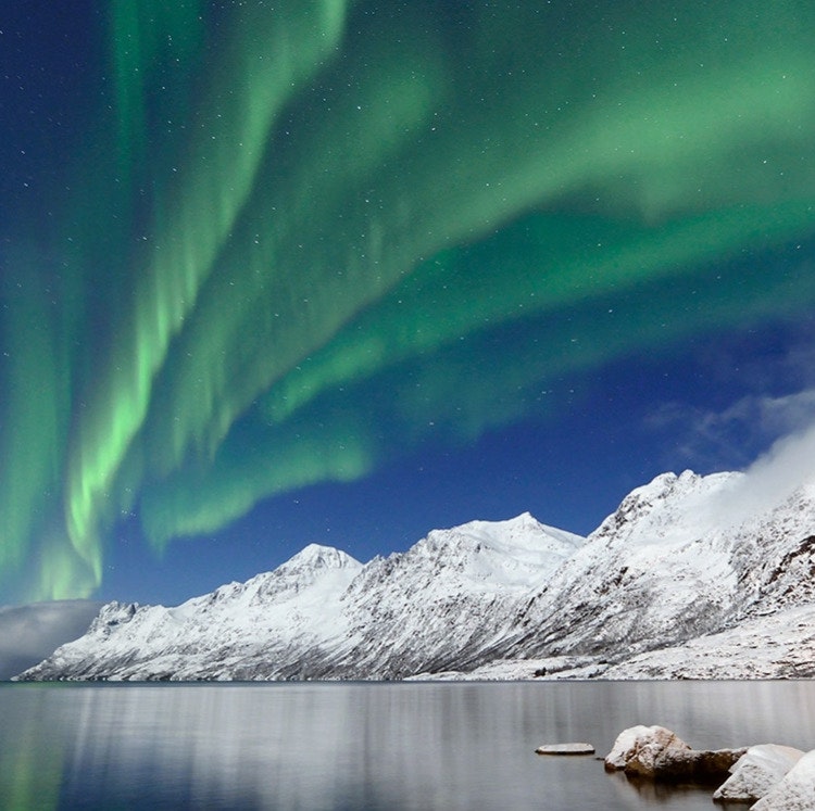 Holland America 14-Night Arctic and Northern Lights Cruise: From $5,038 for 2