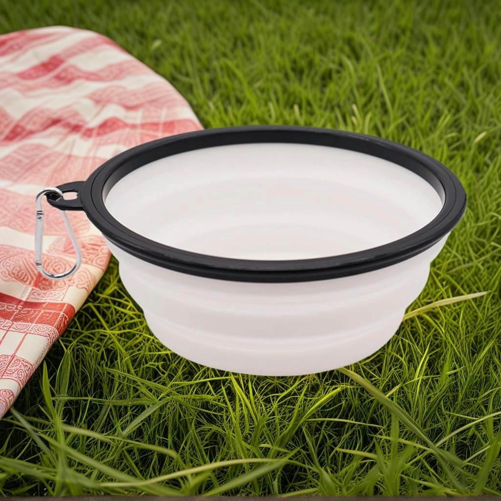 Large Collapsible Dog Bowl: 70 cents