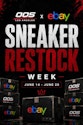 Sneaker Auction Sale on eBay Live for Bids from $1