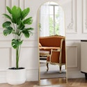 EDX 56" x 15" Arched Full Length Mirror for $26 + free shipping w/ $35
