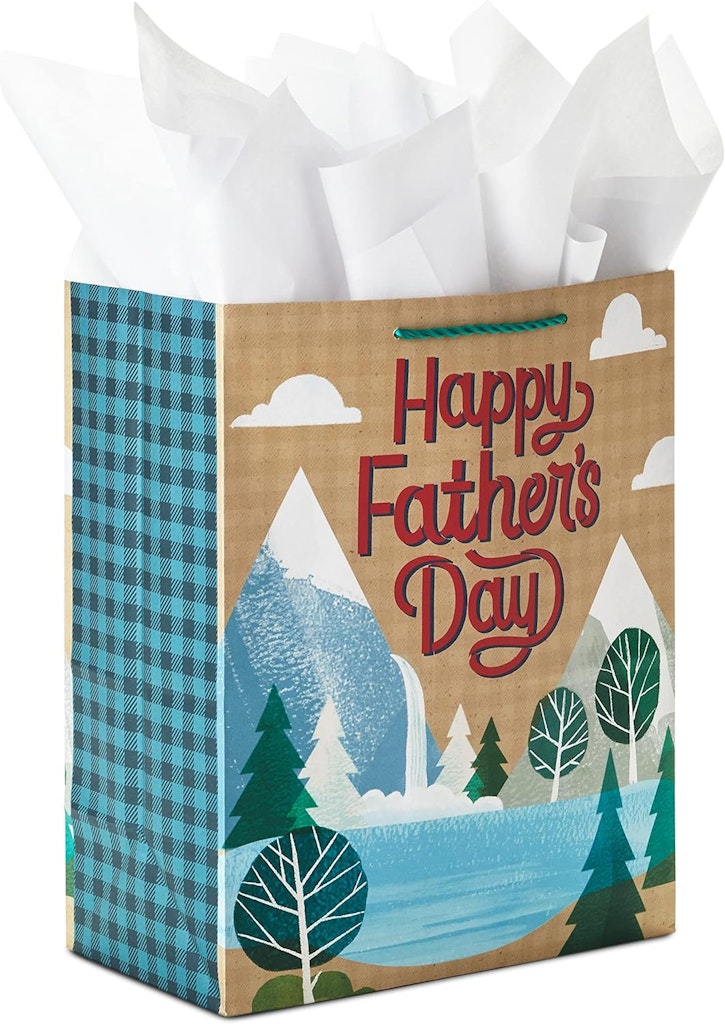 Hallmark 13" Large Father's Day Gift Bag: $5
