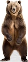 Animal Life Size Cardboard Cutouts for From $13 + free shipping w/ Prime