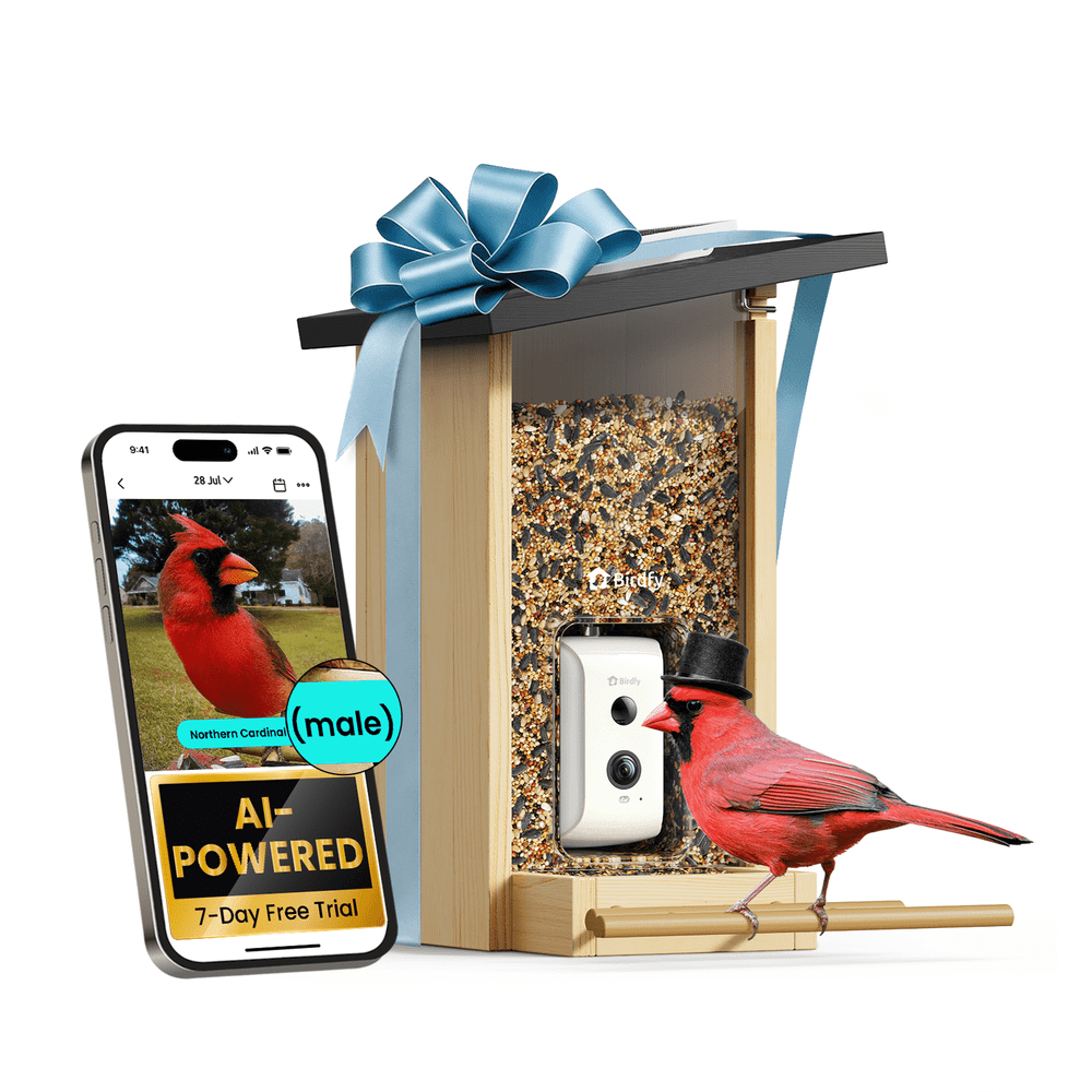 Birdfy Smart Bird Feeder with Camera: $95.97
