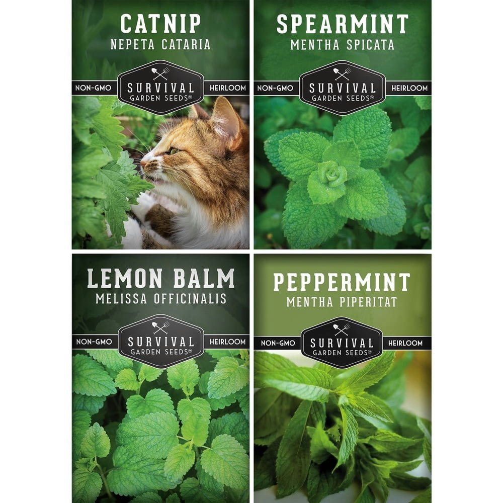 4 Mint Seed Pack: $7.99