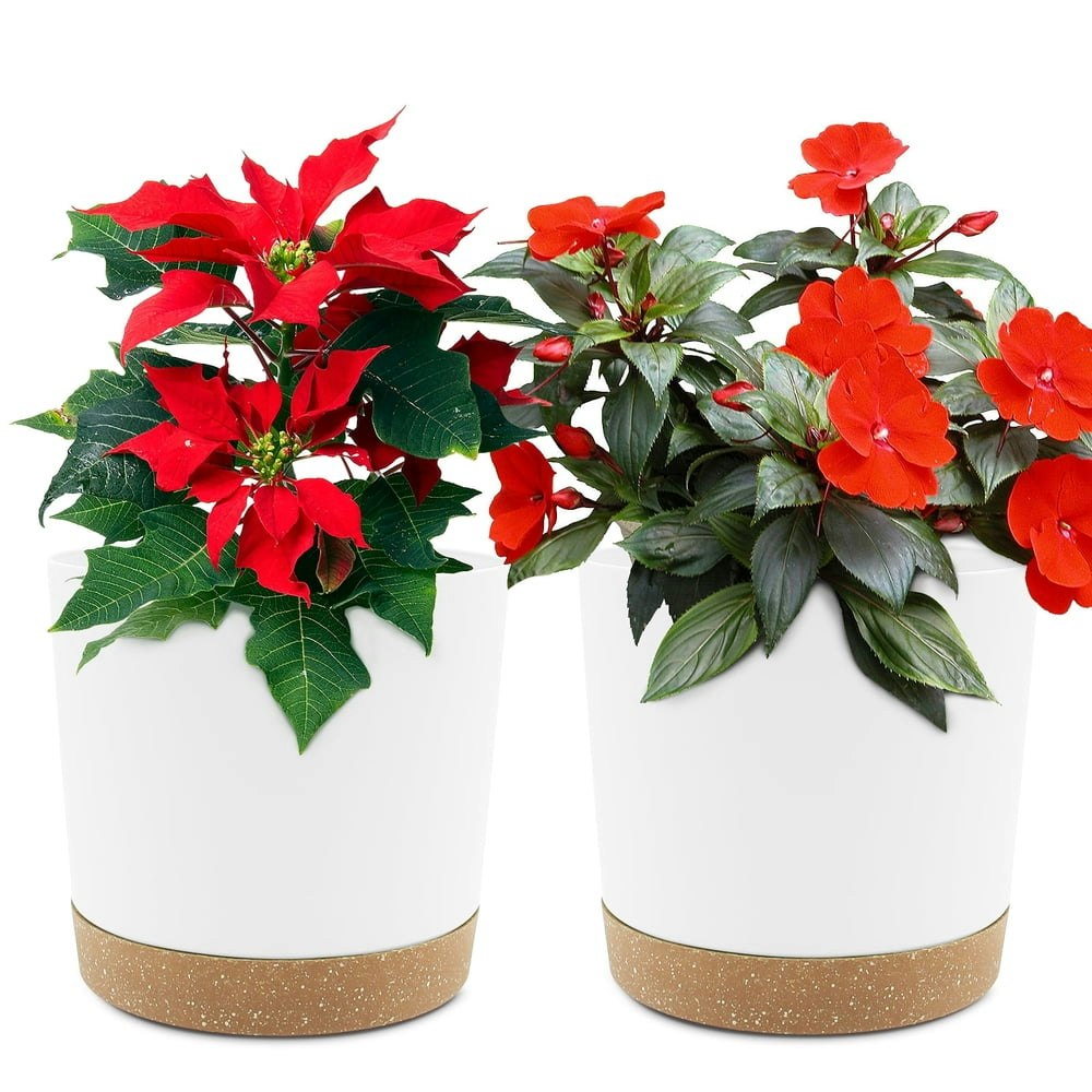 QCQHDU 6.5-inch Indoor Plastic Planter 2-Pack: $11.89 QCQHDU 6.5-inch Indoor Plastic Planter 2-Pack: $11.89