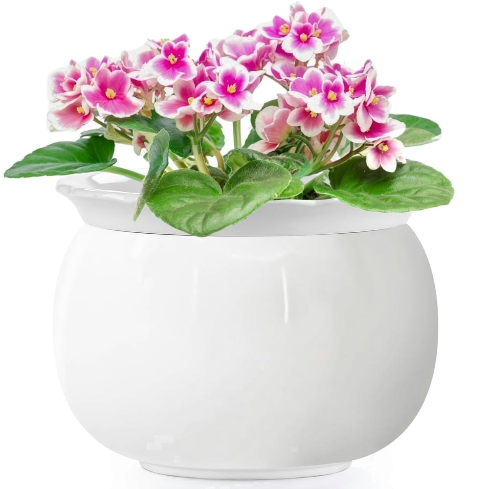 Buymax 8-inch Ceramic Self-Watering Pot: $30.29 Buymax 8-inch Ceramic Self-Watering Pot: $30.29
