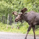Anchorage Vacation Deals: Special offers