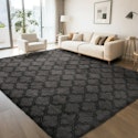CozyDesg 5' x 7' Area Rug for $20 + free shipping w/ $35