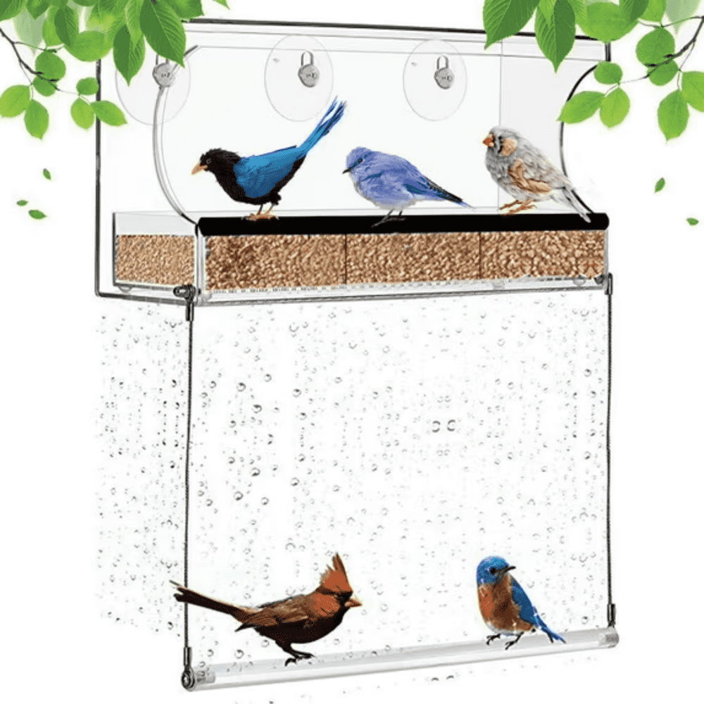Clear Window Acrylic Bird Feeder: $16.99 Clear Window Acrylic Bird Feeder: $16.99