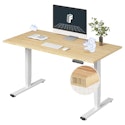 FlexiSpot E6 Bamboo Standing Desk for $271 + free shipping