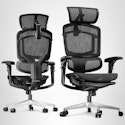 Flexispot ErgoX-PRO Ergonomic Office Chair with Footrest for $400 w/ Prime + free shipping