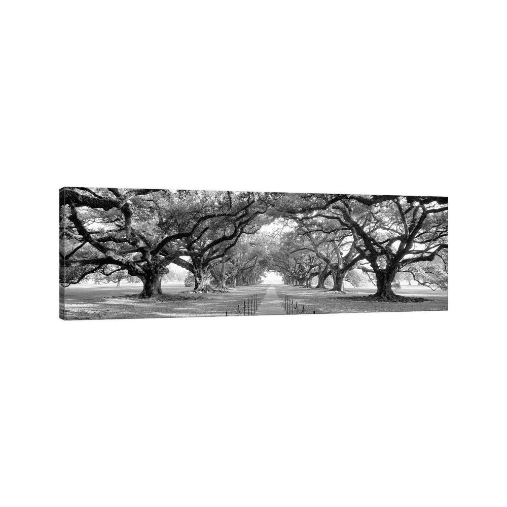 New Orleans USA II by Panoramic Images 24" x 72" Wall Canvas: $202.99 New Orleans USA II by Panoramic Images 24" x 72" Wall Canvas: $202.99