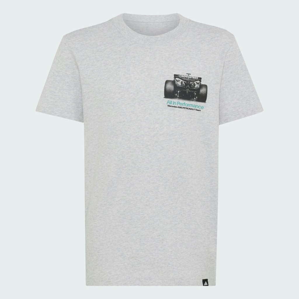 Mercedes AMG Petronas Formula 1 Team Graphic Tee: $35