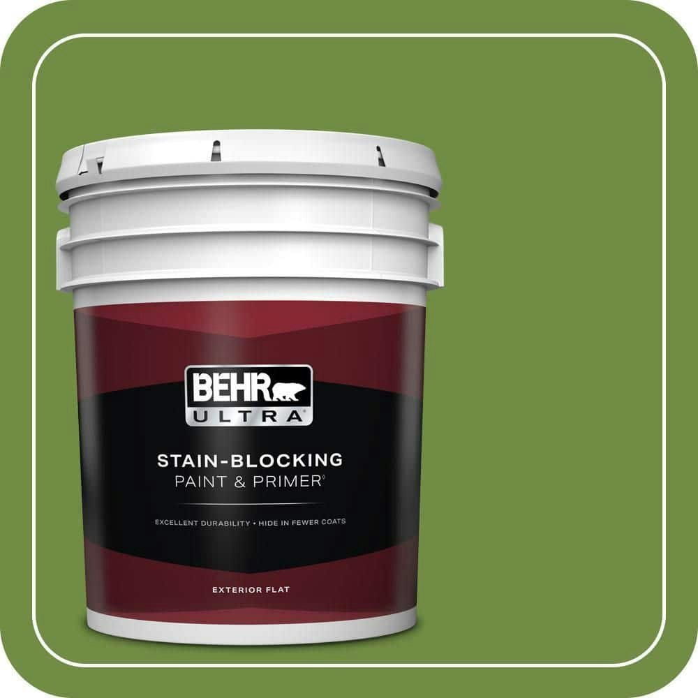 Thyme Green Flat Exterior Paint and Primer 5-Gallon: $273 Thyme Green Flat Exterior Paint and Primer 5-Gallon: $273