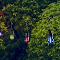 Harbor Breeze 24-ft RGB Filament S14 String Light w/ Remote for $30 + free shipping