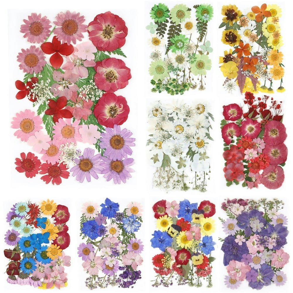 Keyohome Pressed Dried Flowers 3-Sheet Set: $12.69 Keyohome Pressed Dried Flowers 3-Sheet Set: $12.69