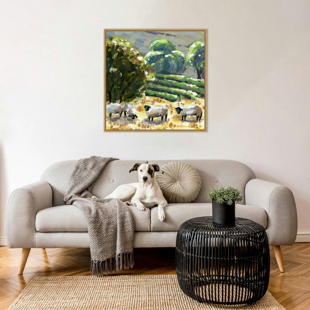 Amanti Art Sheep in Summer I Framed Canvas Wall Art 30x30-Inch: $163.99 Amanti Art Sheep in Summer I Framed Canvas Wall Art 30x30-Inch: $163.99