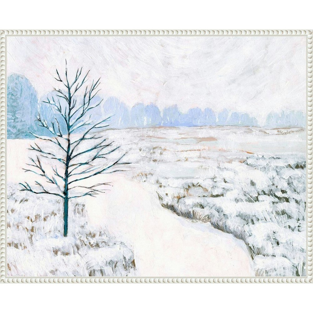 Amanti Art Frozen River Study I Framed Canvas Wall Art 28x23-Inch: $112.99 Amanti Art Frozen River Study I Framed Canvas Wall Art 28x23-Inch: $112.99