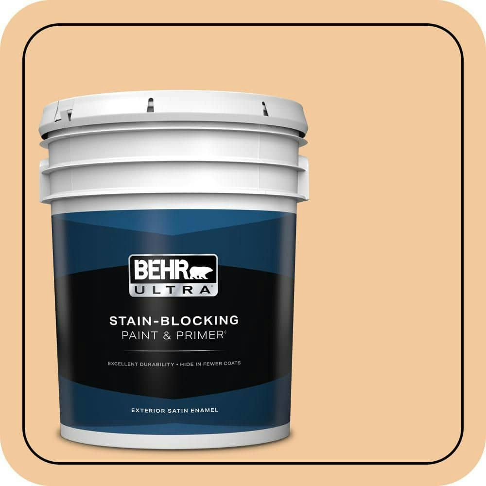 Behr 5-Gallon M240-4 Sheer Apricot Satin Exterior Paint and Primer: $283 Behr 5-Gallon M240-4 Sheer Apricot Satin Exterior Paint and Primer: $283