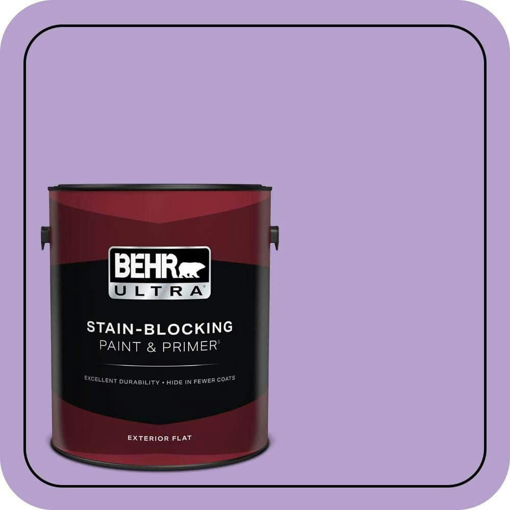 Behr Premium Plus Flower Girl Flat Exterior Paint and Primer 1-Gallon: $57.98 Behr Premium Plus Flower Girl Flat Exterior Paint and Primer 1-Gallon: $57.98