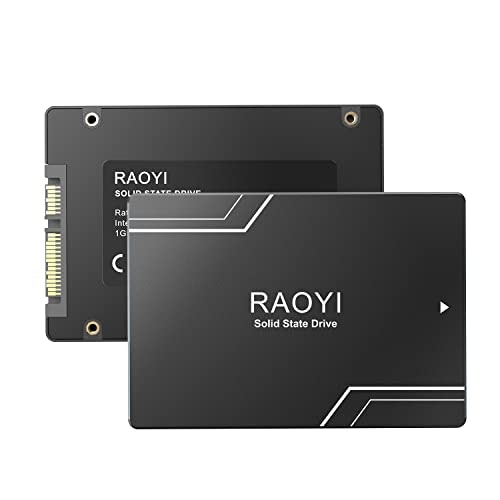 Raoyi 1TB 2.5-Inch SATA III Internal SSD: $106.39