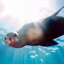 10-Night Ecuador and Galápagos Flight, Hotel, and Tour Vacation for From $3,598 for 2
