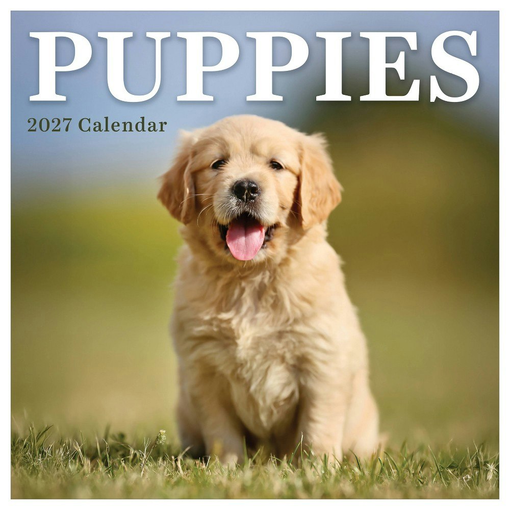 TF Publishing 2027 Puppies Mini Calendar: $9.99