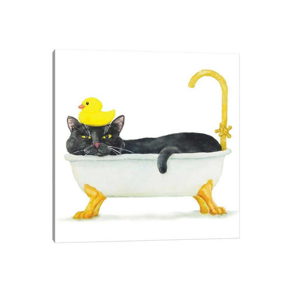Bathing Black Cat by Alexey Dmitrievich Shmyrov 37" x 37" Wall Canvas: $218.99 Bathing Black Cat by Alexey Dmitrievich Shmyrov 37" x 37" Wall Canvas: $218.99