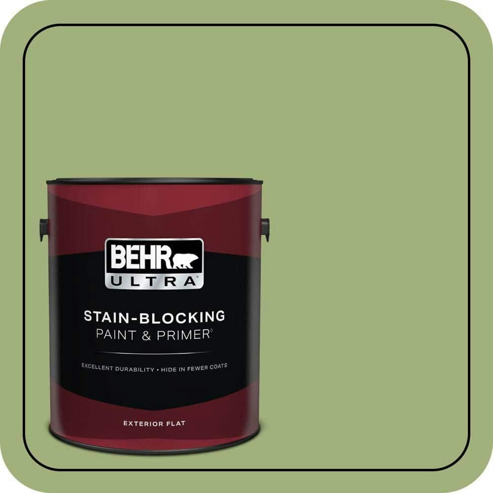 Fresh Guacamole 1-Gallon Flat Exterior Paint and Primer: $57.98 Fresh Guacamole 1-Gallon Flat Exterior Paint and Primer: $57.98