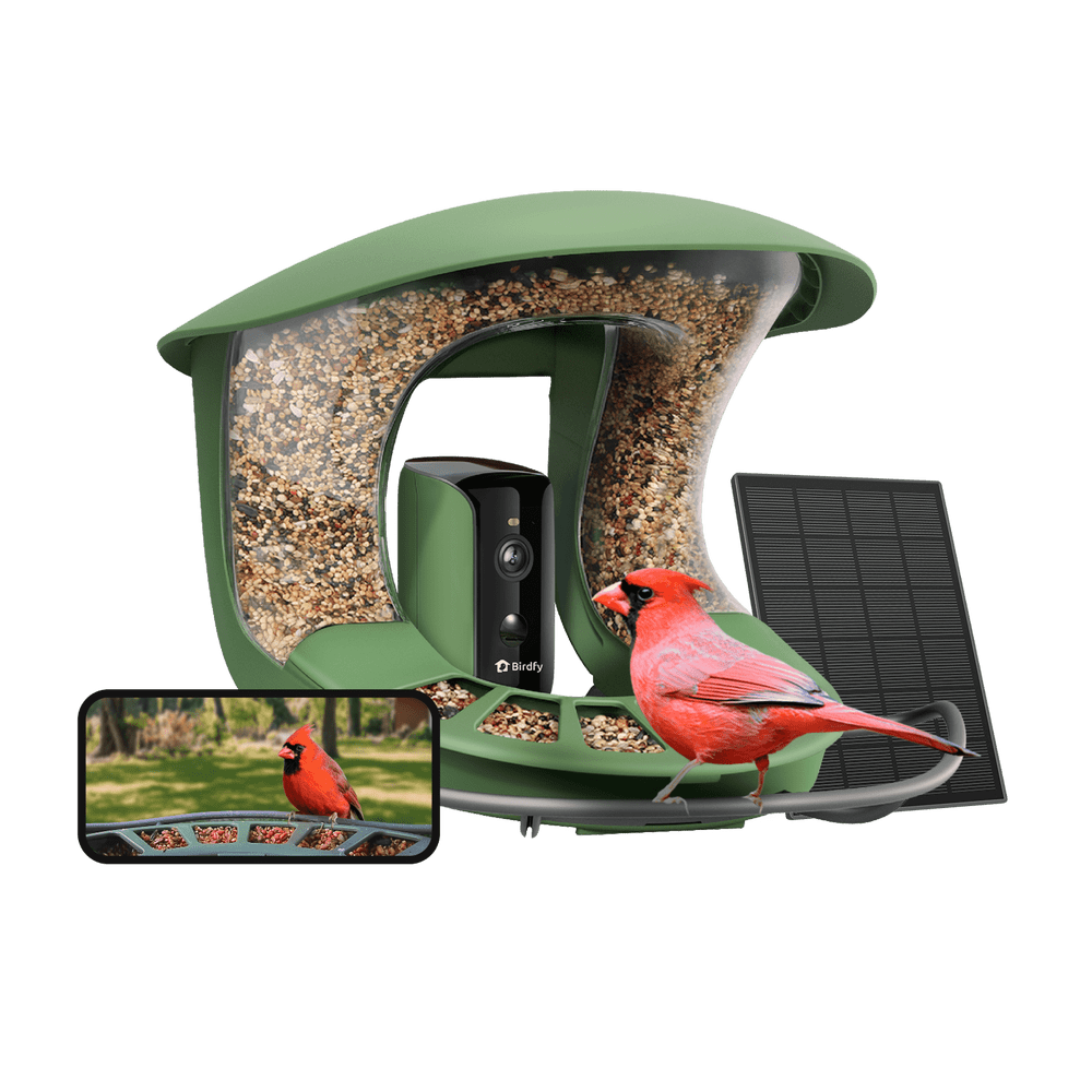 Birdfy Smart Solar-Powered Bird Feeder with Camera: $149.99 Birdfy Smart Solar-Powered Bird Feeder with Camera: $149.99