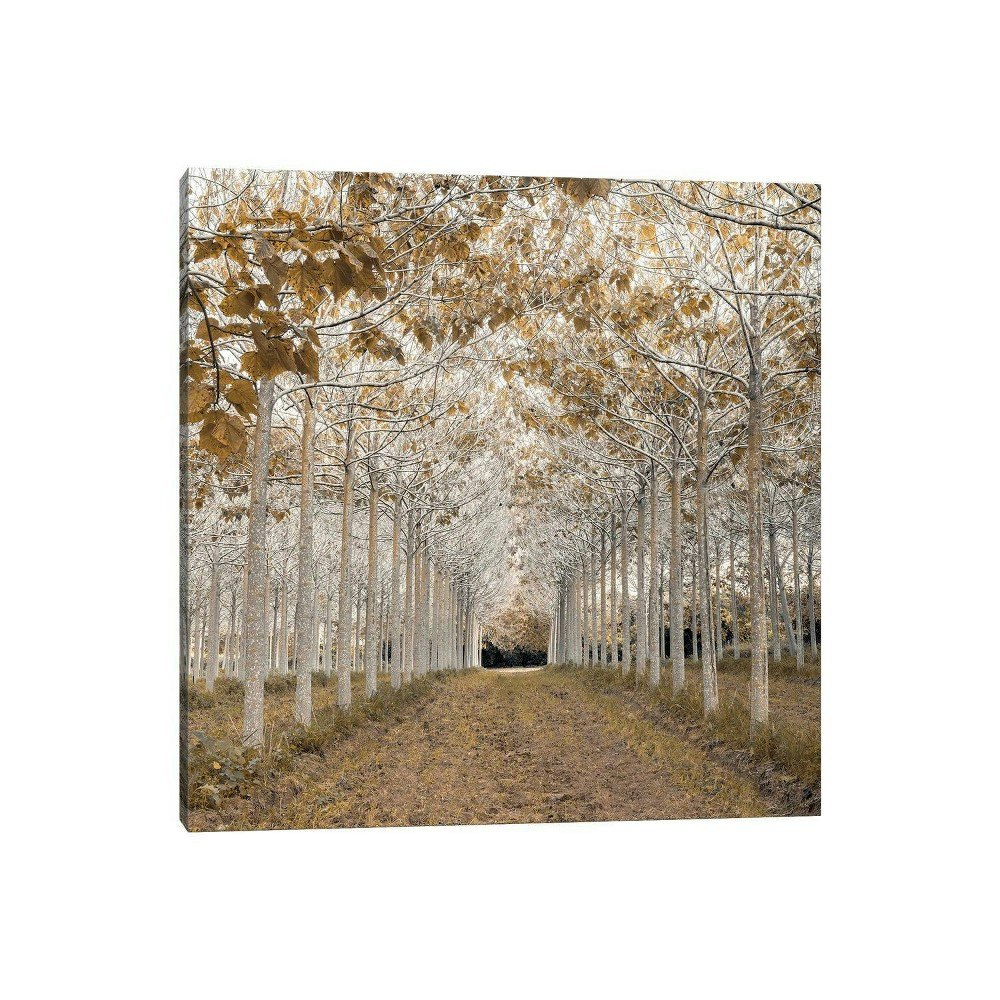 iCanvas White Gold by Assaf Frank 18" x 18" Unframed Wall Canvas: $49.99 iCanvas White Gold by Assaf Frank 18" x 18" Unframed Wall Canvas: $49.99