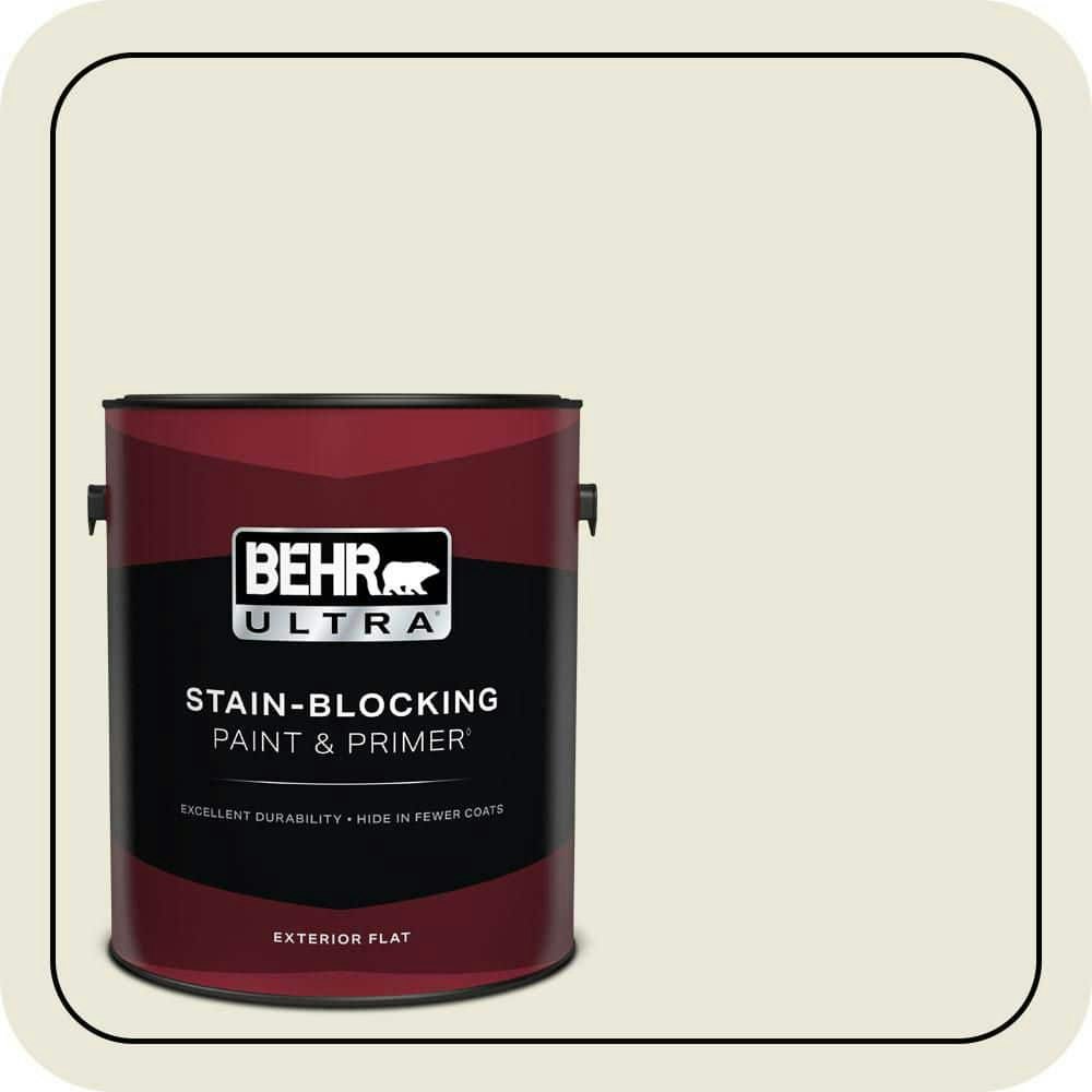 Home Decorators Collection 1-Gallon Dried Coconut Flat Exterior Paint and Primer: $57.98 Home Decorators Collection 1-Gallon Dried Coconut Flat Exterior Paint and Primer: $57.98