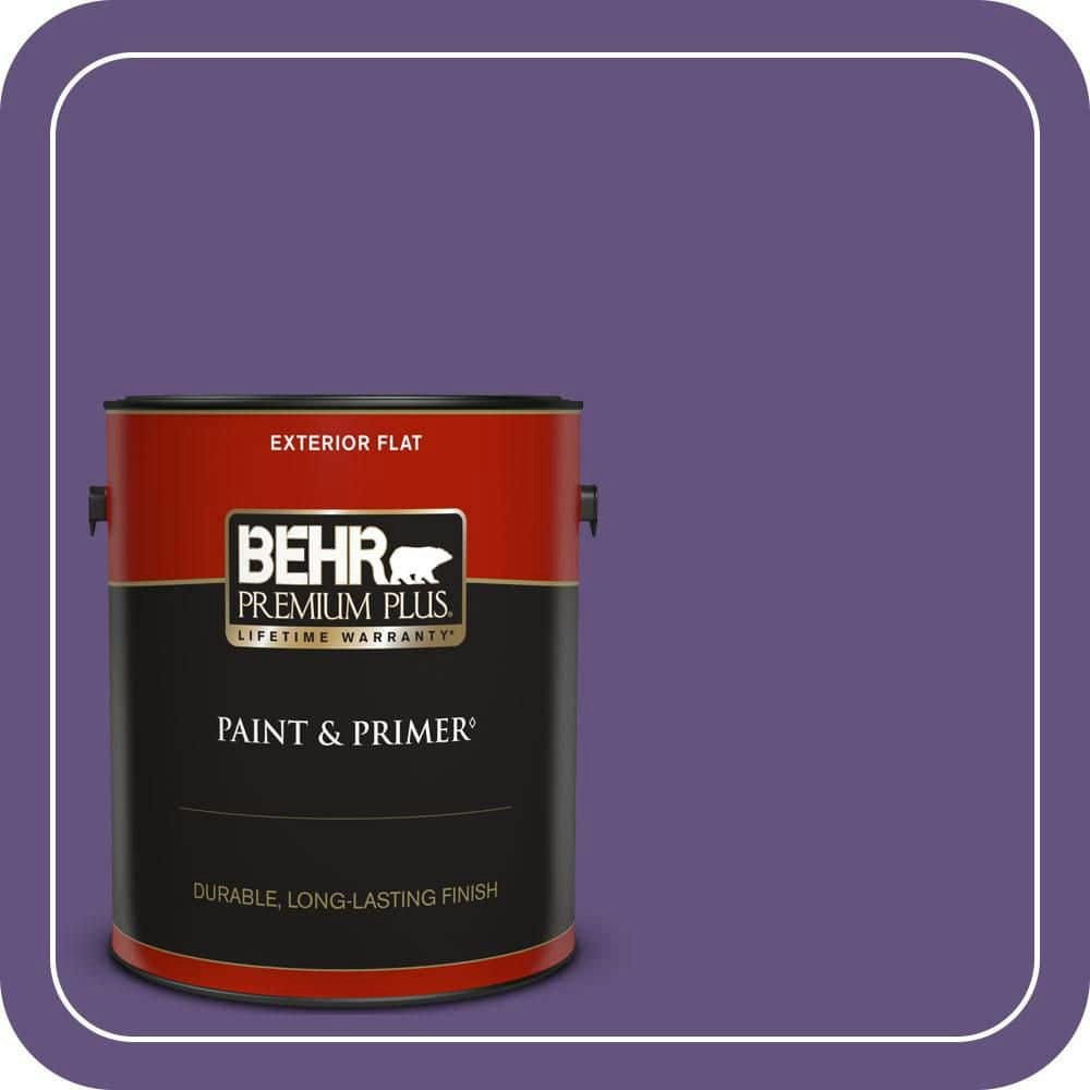 Home Decorators Collection Virtual Violet Flat Exterior Paint and Primer 1-Gallon: $47.98 Home Decorators Collection Virtual Violet Flat Exterior Paint and Primer 1-Gallon: $47.98