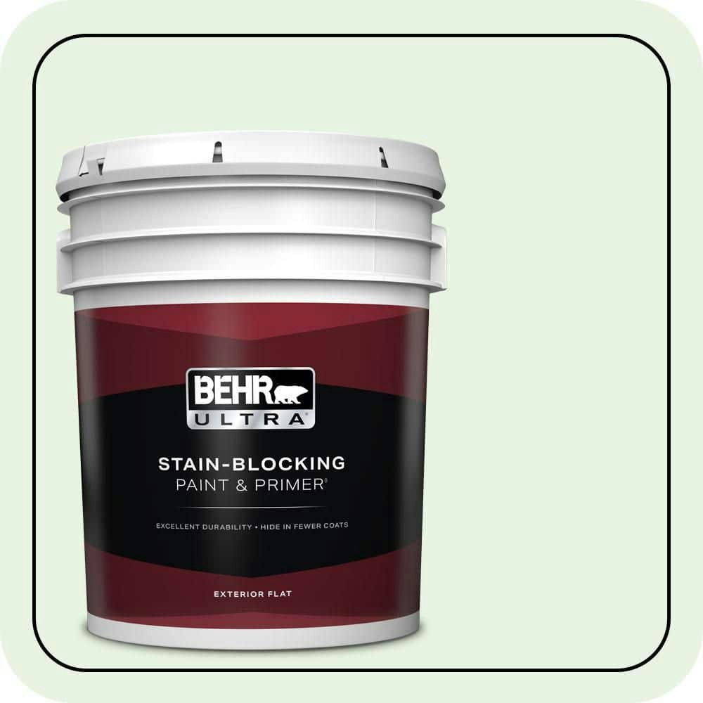 Behr 5-Gallon #450C-1 Dinner Mint Flat Exterior Paint and Primer: $273 Behr 5-Gallon #450C-1 Dinner Mint Flat Exterior Paint and Primer: $273