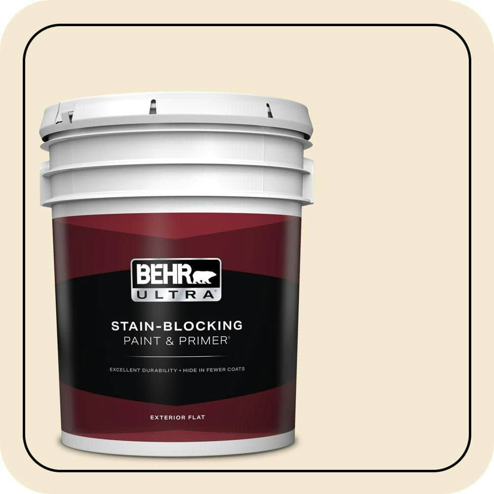 Home Decorators Collection 5-Gallon Flat Exterior Paint and Primer: $273