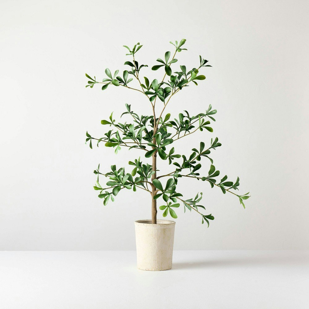 Hearth & Hand with Magnolia 28-inch Artificial Olive Tree: $34.99 Hearth & Hand with Magnolia 28-inch Artificial Olive Tree: $34.99