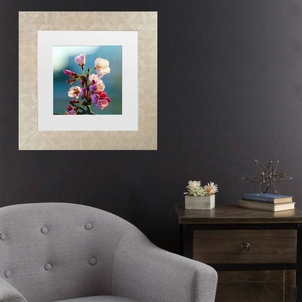 Trademark Fine Art 11"x11" Cherry Blossom Framed Art: $31.49 Trademark Fine Art 11"x11" Cherry Blossom Framed Art: $31.49