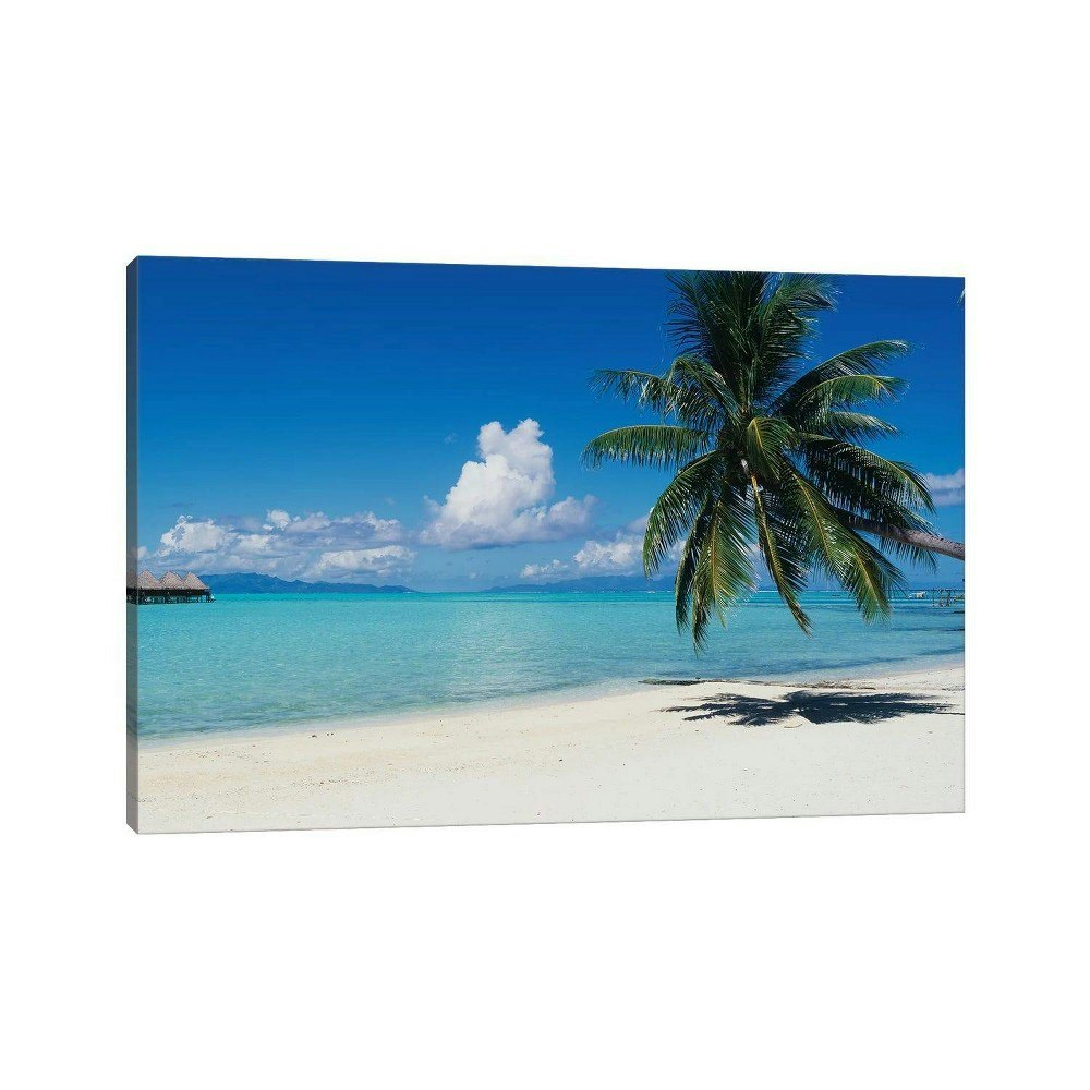 iCanvas 26" x 40" Palm Tree on The Beach Wall Canvas: $118.99 iCanvas 26" x 40" Palm Tree on The Beach Wall Canvas: $118.99