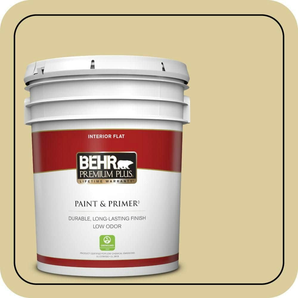 Behr Mojito Flat Interior Paint & Primer 5-Gallon Can: $154